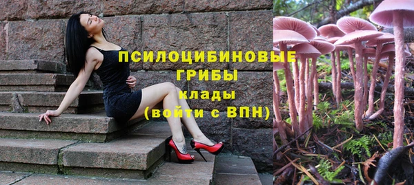 дурь Богородск