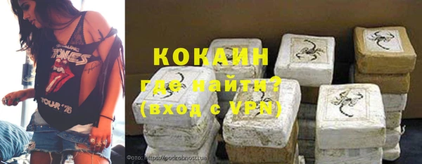 дживик Богданович