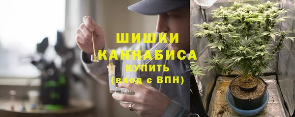 дурь Богородск